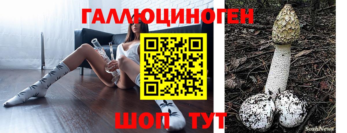 Кунгур  продажа наркотиков  Вход с VPN  Псилоцибиновые грибы MAGIC MUSHROOMS 