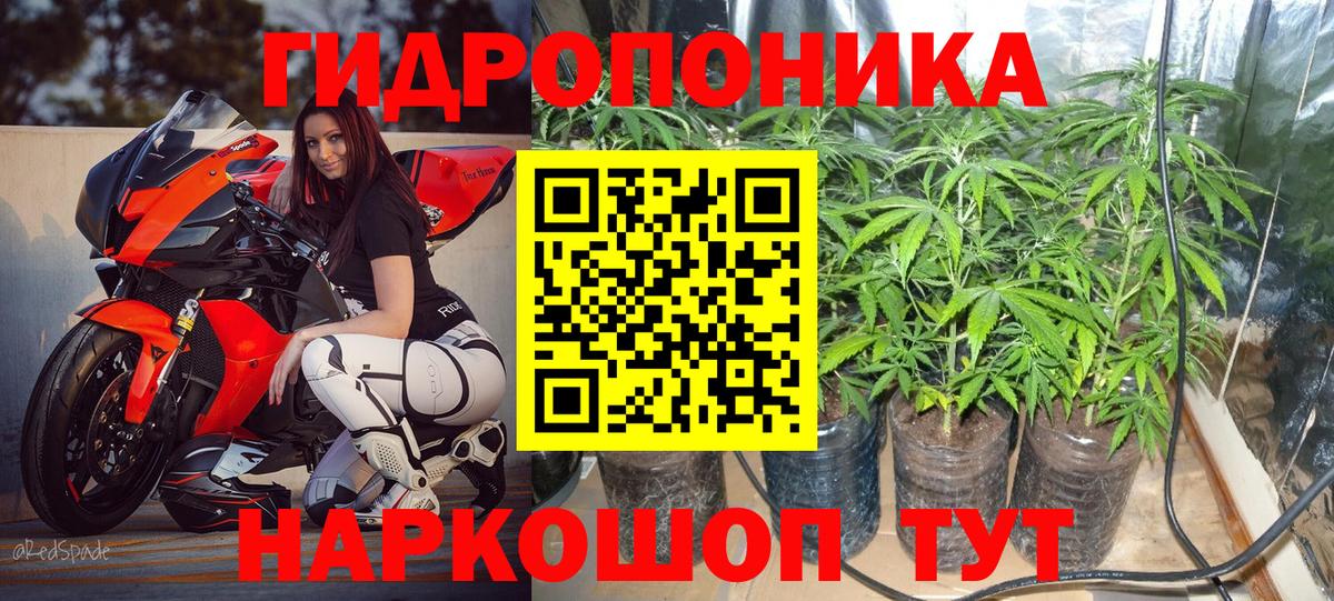 Кунгур  Бошки Шишки Bruce Banner  Марихуана индика  Вход с VPN  Бошки марихуана ГИДРОПОН 